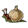 Garlic Snail