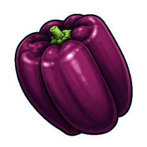 Purple Bell Pepper
